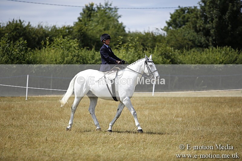 _C7A0206 - Side Saddle Classes BVRC Show 2018