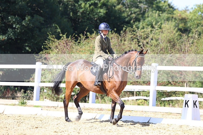 3E7A5677 - Class 10: Riding Horse