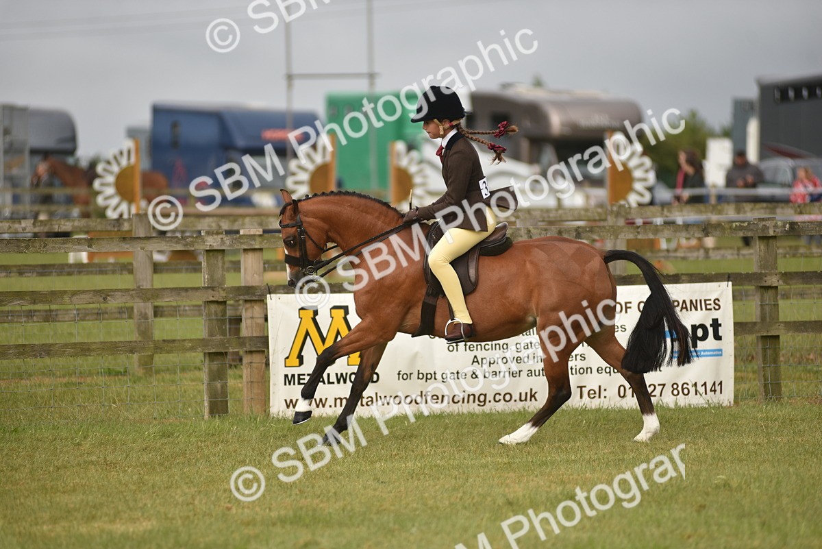 SBM_10702 - Class 110-112 - LIHS BSPS Performance Pones