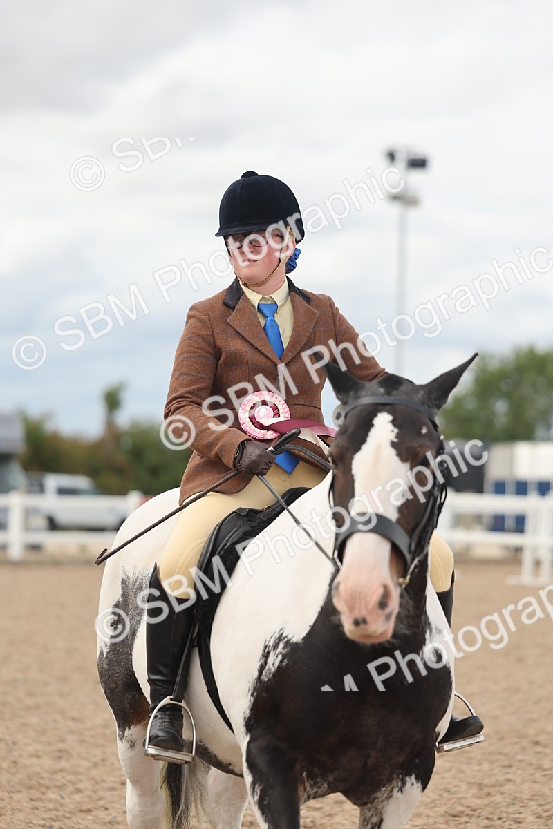 SBM_18087 - Class 314 - Family Horse Pony