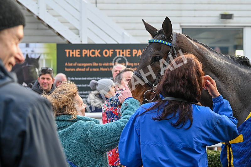 020224-Race 5-Shighness-8673 - Race 5