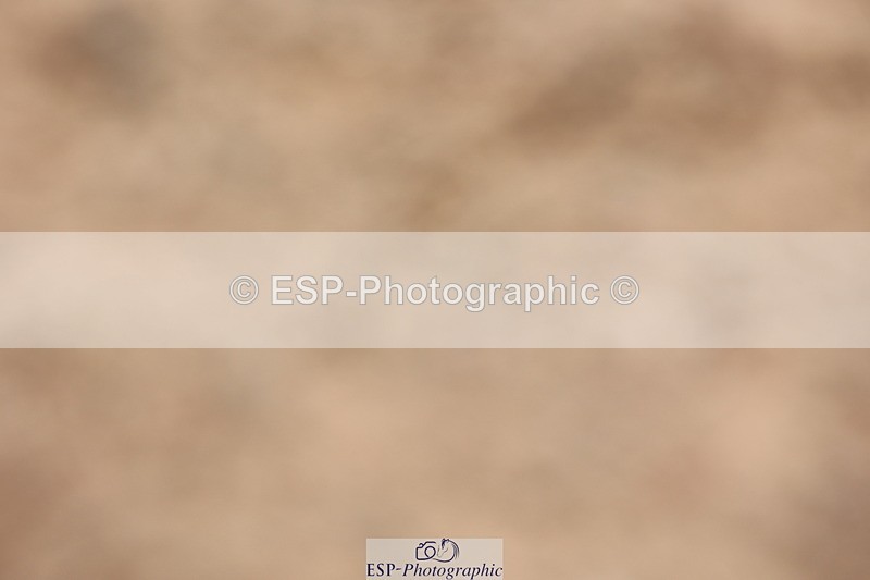 240621A-125808-00913 - Cls 15 BD Music Adv Medium