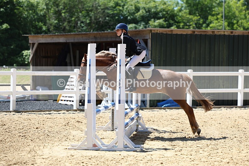 3E7A2513 - Class 4/5: 60cm Open Teams and Individuals