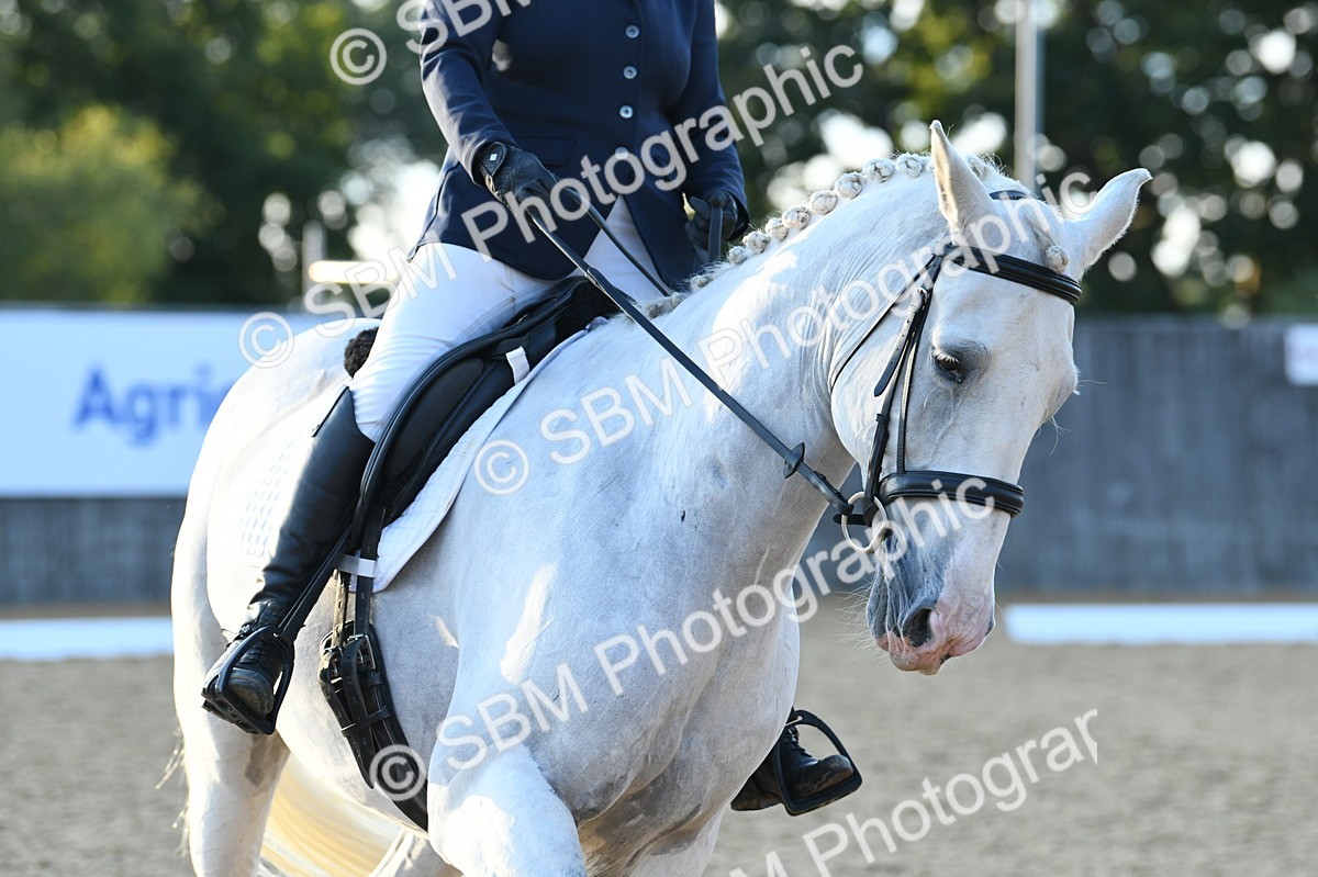 SBM_30882 - D16 - Small Tour Championship - Novice 28