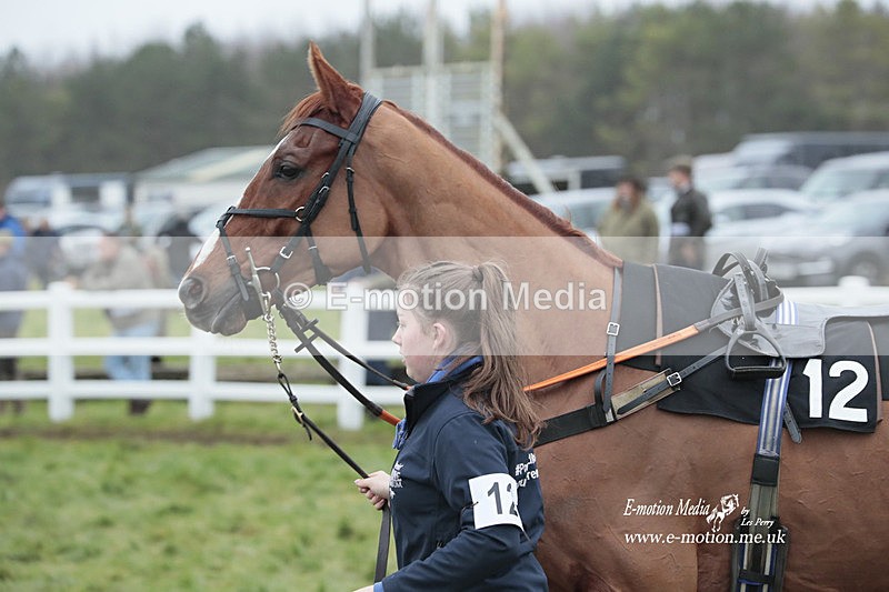 PtP 041222 0745 - Larkhill Racing Club Point-to-Point Larkhill 01/01/23