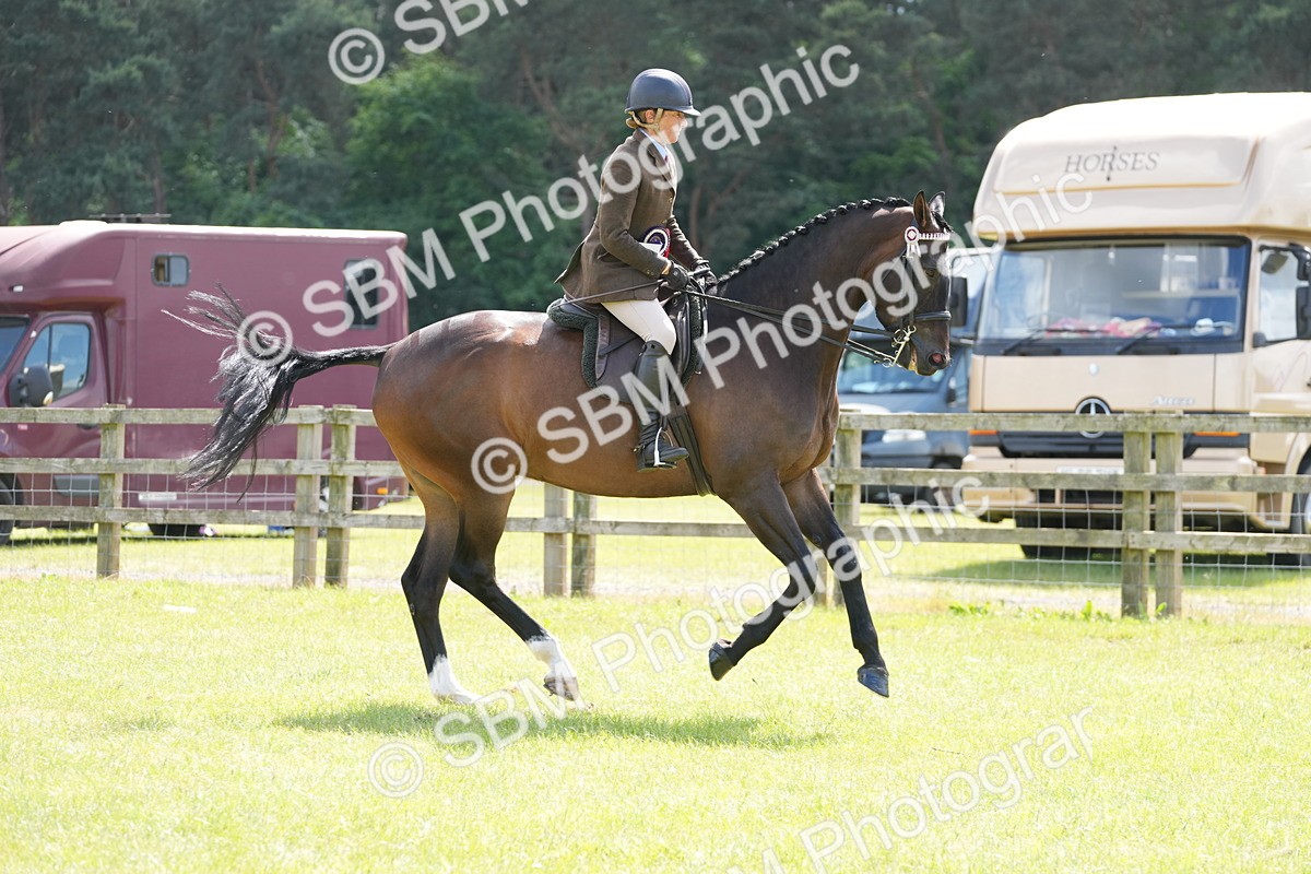 SBM_16271 - Class 105-106 - RIHS Riding Horses