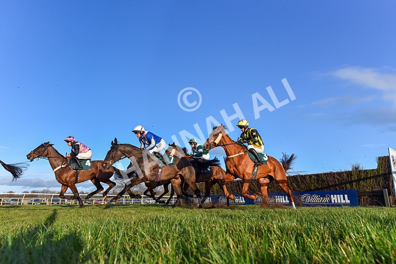 250225-Race 5-Sean Og-0754 - Race 5