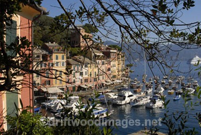 Portofino, Italy - Portofino area, Italy