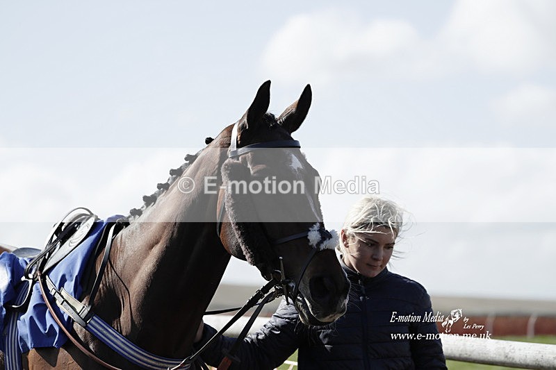 PtP 100423 962 - Old Berkshire Point-to-Point Lockinge 10/04/23