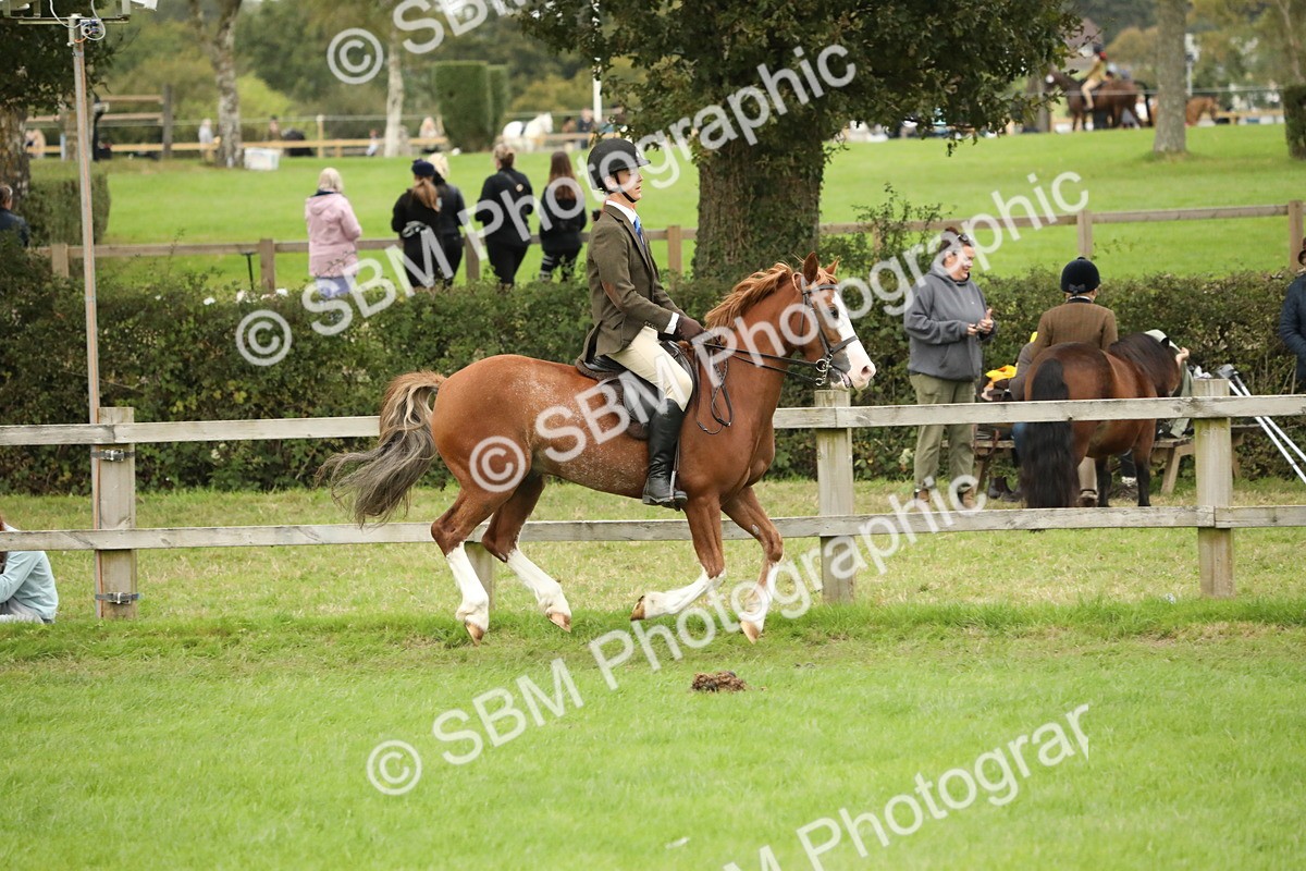 SBM_73799 - S41 - Ridden Equitation (Best Rider)