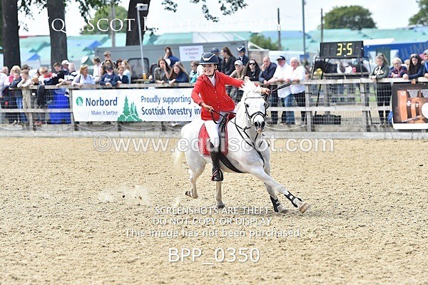 BPP_0350 - RHS 2019 Selection - *Just some random spectator shots so Lucky Dip if you are there!