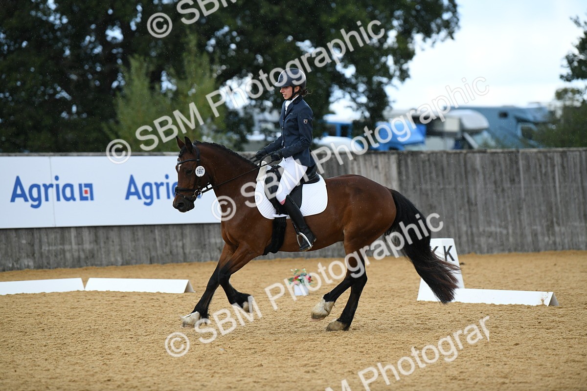 SBM_07276 - D15 Small Tour Championship Novice 24