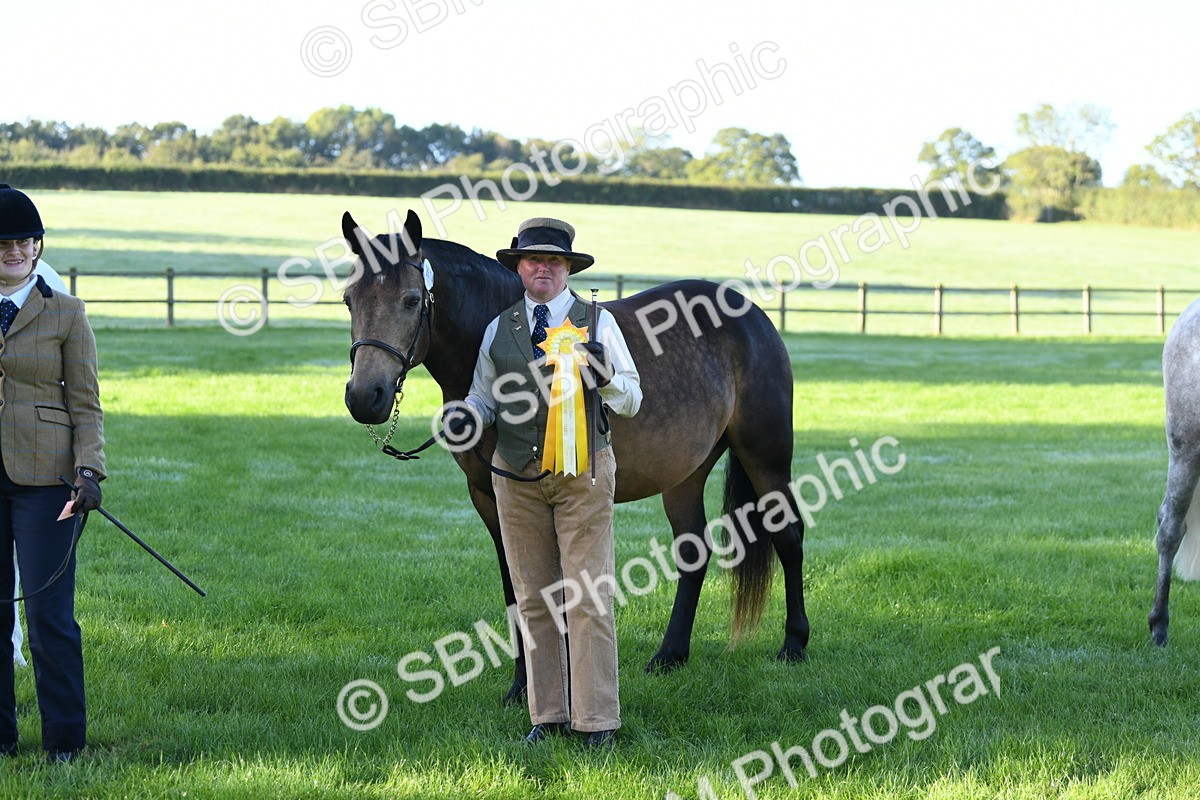 SBM_32838 - S15 - Condition & Turnout In Hand