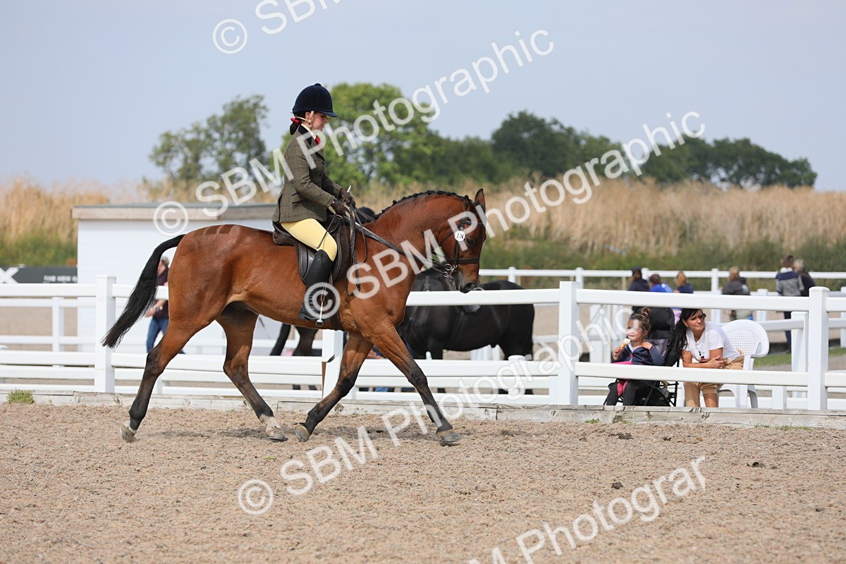 SBM_15574 - Class 311 Ridden Show Pony/ Show Hunter Pony