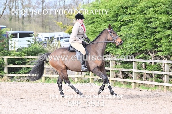 BPP_6933 - RING 1  (RIDDEN HORSES / IN HAND / VETERAN ETC)