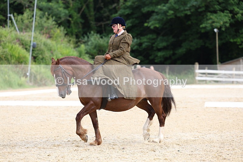 3E7A1632 - Class 2: Intro 2 2024 Section B