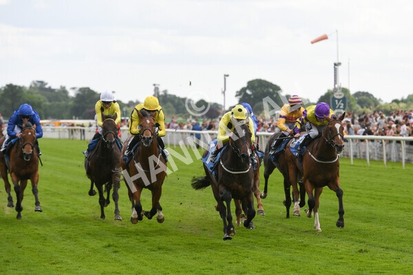 yr11062022r6-18 - Race 6 4.15pm Reg Griffin Appreciation EBFstallions.com Maiden Stakes