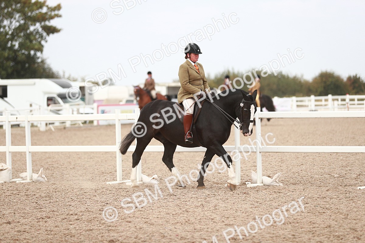 SBM_16667 - Class 214 Ridden Cob