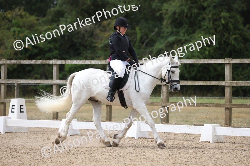 20250730-0276 - Class 2 - Intro 4