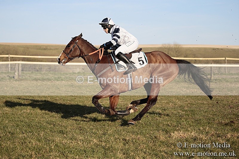 PtP 240218 716 - Vine & Craven Hunt Point-to-Point Barbury racecourse 24/02/18
