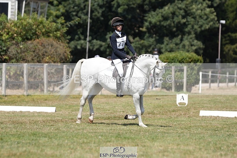 250823A-132843-31206 - Arena A