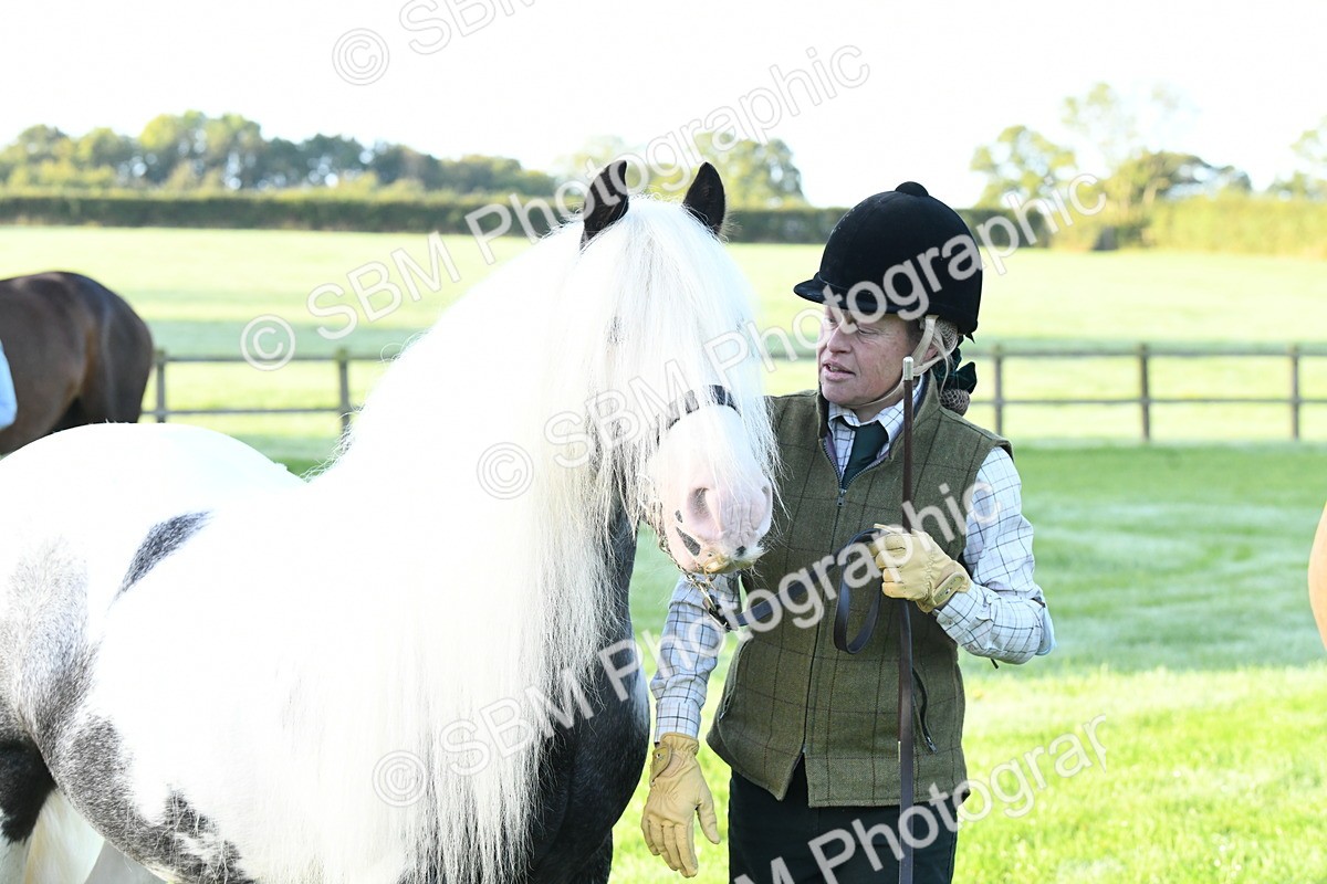 SBM_32668 - S15 - Condition & Turnout In Hand