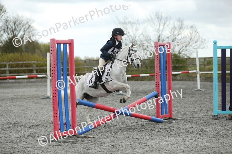 20260412-0688 - Show Jumping