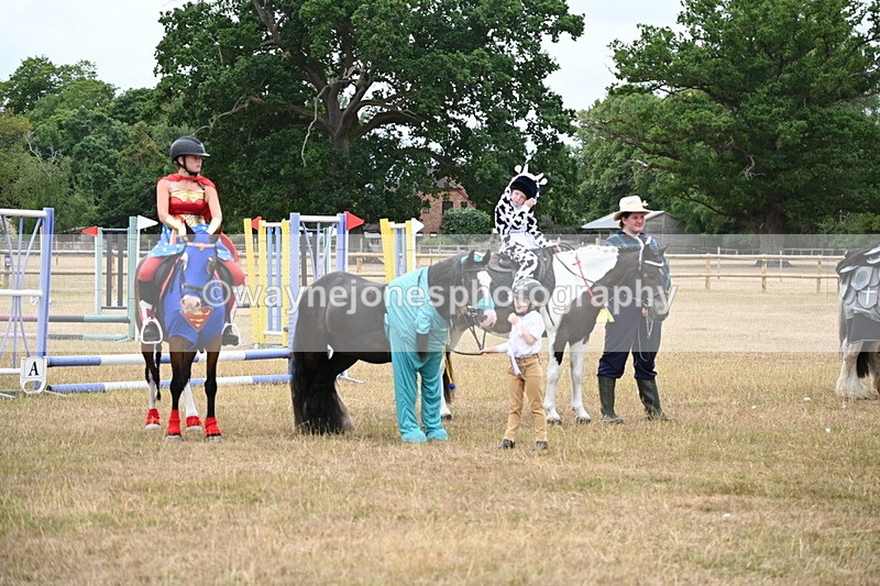WJ6_9192 - Class 11 Fancy Dress