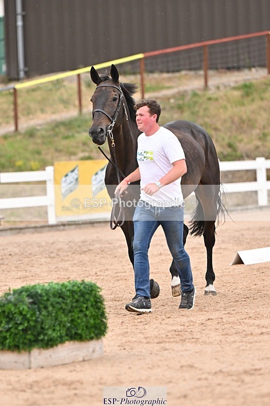 250716-160956-02478 - Trot Up 3.30 to 4.30