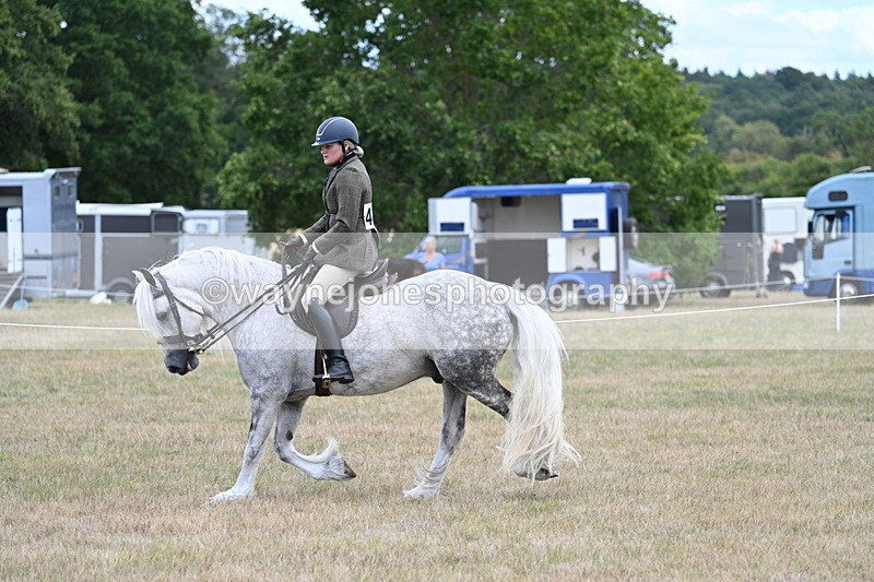 WJ7_4959 - Class 12 Ridden Cob