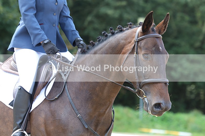 3E7A2182 - Class 1: Intro 4 2024 section A