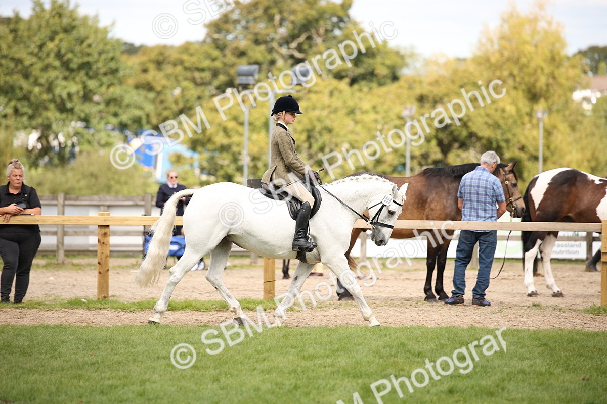 SBM_42328 - S13 - Pony Club Pony