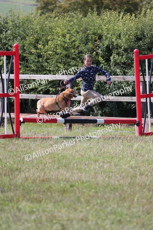 20260906-1614 - Class 10 - Horse & Hound