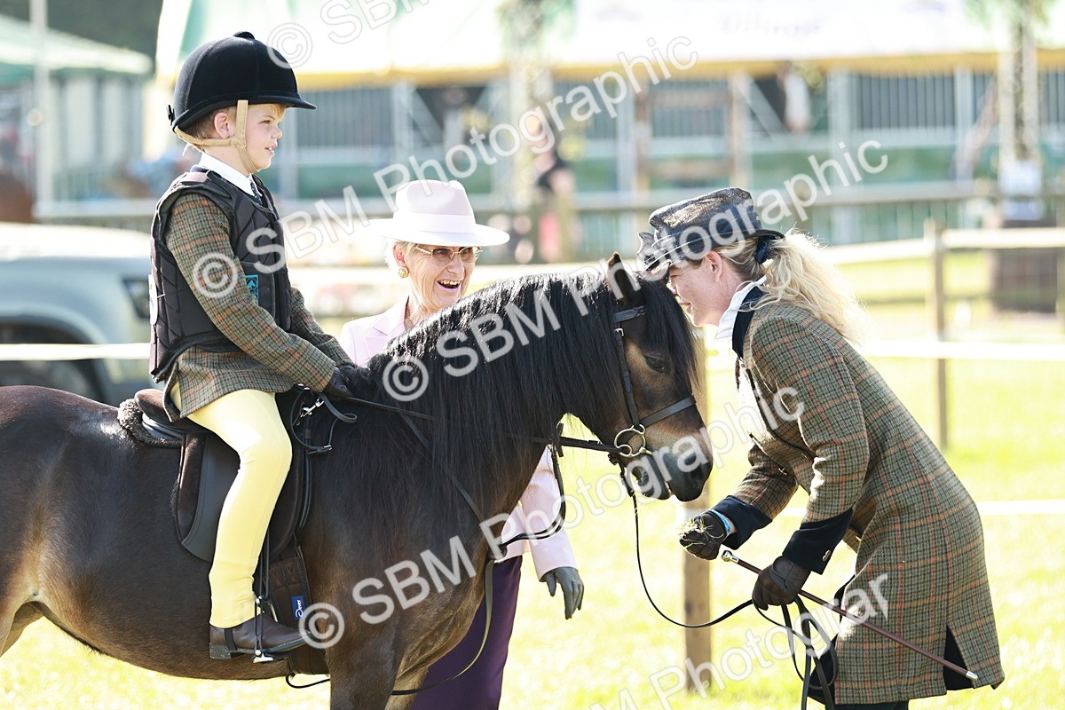 SBM_11204 - Class 106-107 - BSPS LIHS Working Sports Pony