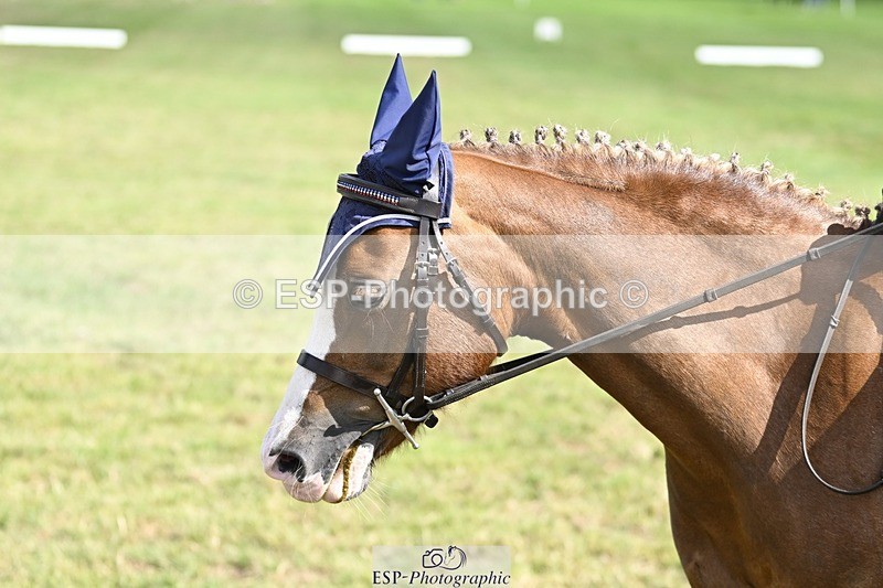 250821A-104041-14466 - DR 10.00 to 11.00