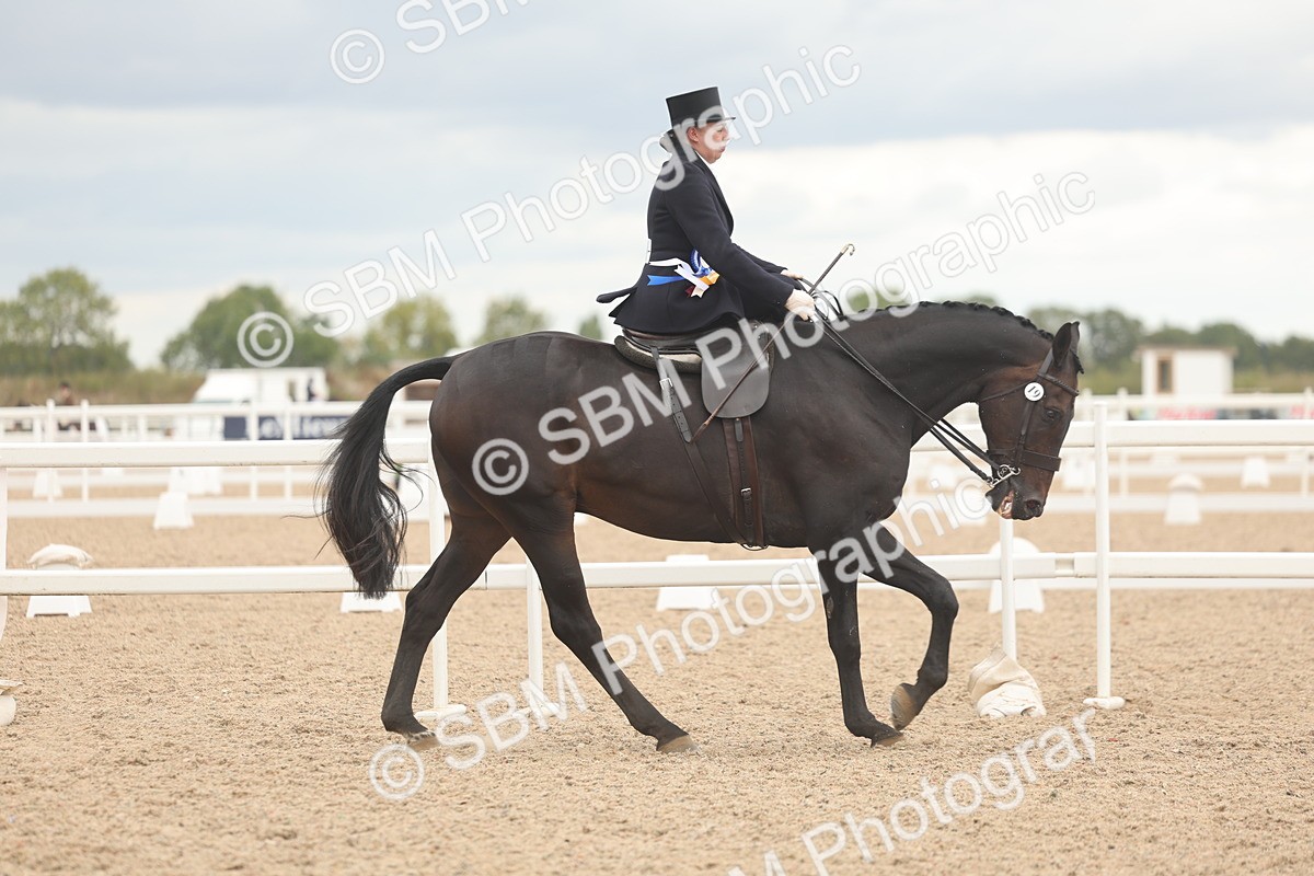 SBM_06400 - Class 23 - SSA - Classical