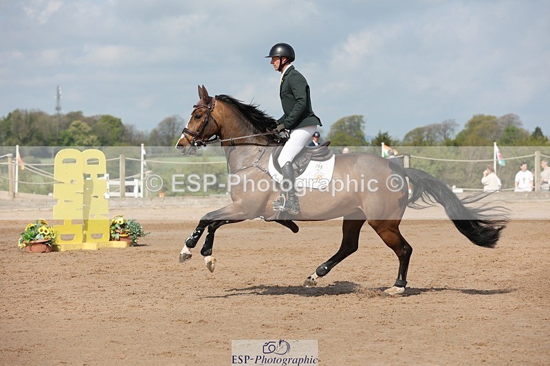 250427-104844-15624 - Cls 36 Young Horse 7yr old