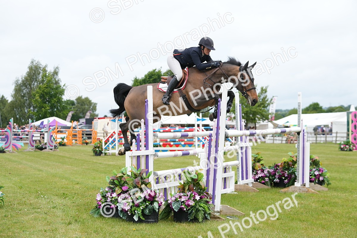 SBM_03071 - Class 201 - British Horse Feeds Speedi Beet Horse of the Year Show Grade  C