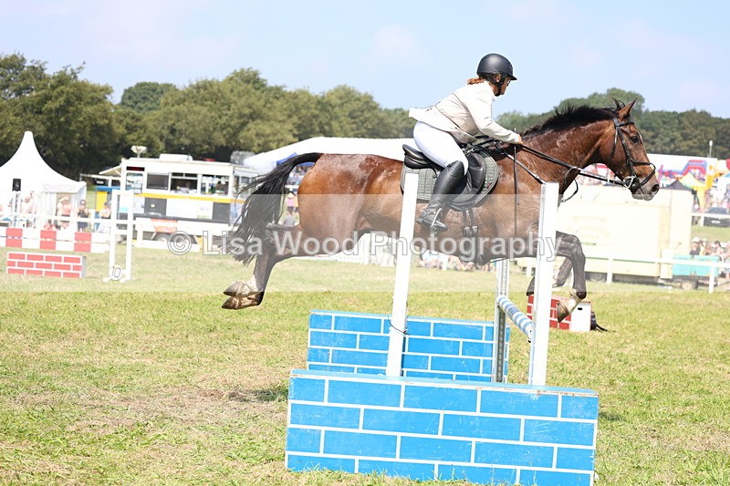 3E7A2849 - Class 7: Senior British Novice/90cm open