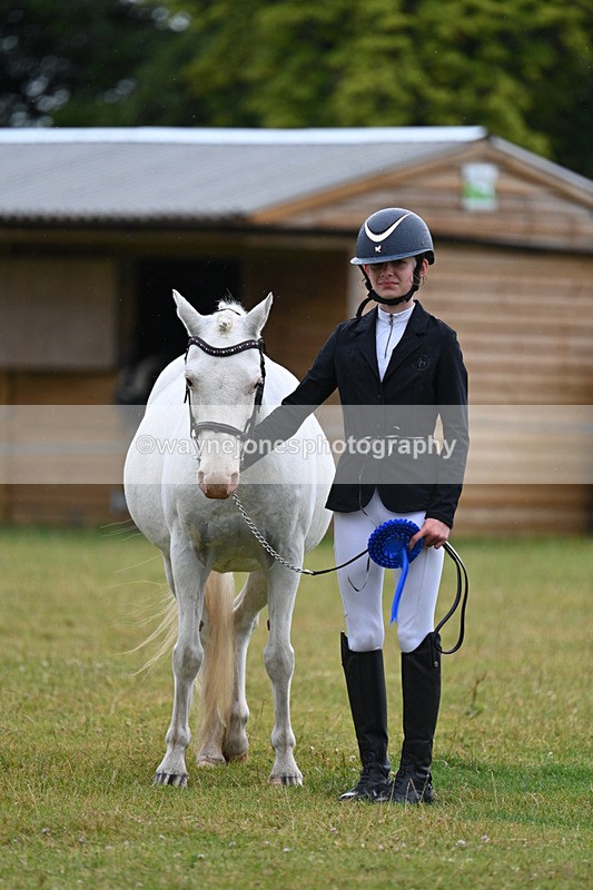 WJ7_5911 - Class 4 Prettiest Mare in Hand
