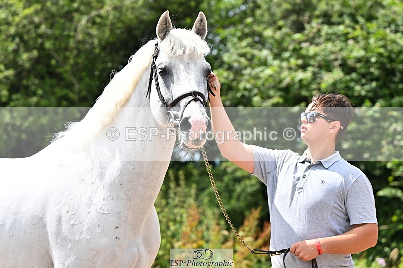 240718A-105306-01567 - Trot Up 1pm to 2pm