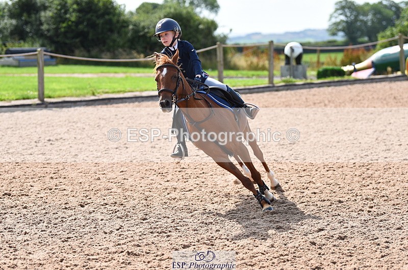 230716A-100558-01961 - Cls 35 Springboard 128cm & 138cm