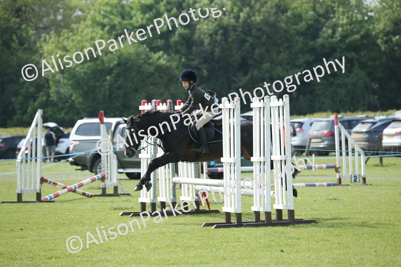 20260426-1487 - Class 14 - Novice 60cm