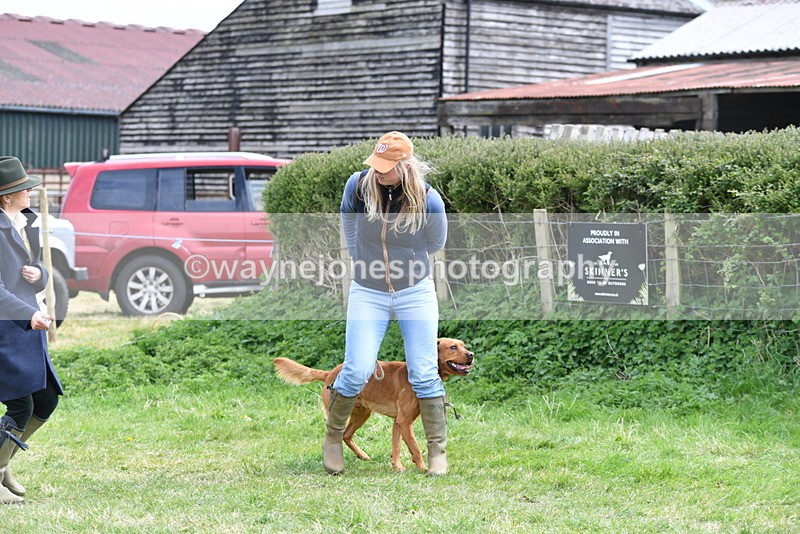 WJ5_9559 - Class 3 Most Handsome Dog