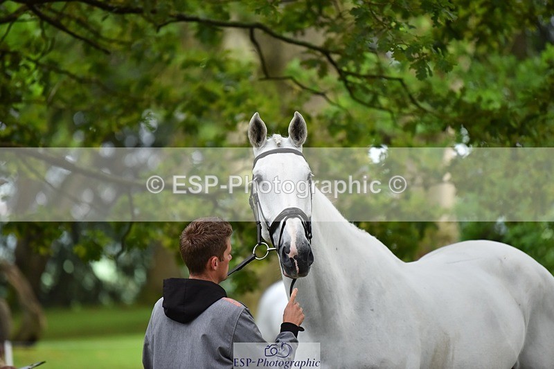 240522-172424-01582 - 285-CHF_BALLYTURN_BRILLIANT-Pascal_Van_moort