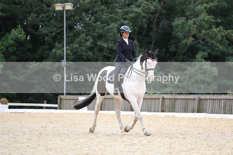 3E7A7337 - Class 9: Elementary 4 2024 - No sections