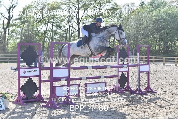 BPP_4480 - CLASS 9 Senior Newcomers/ 1.10m Open