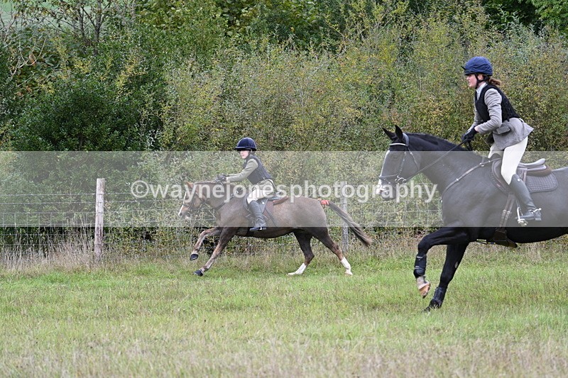 WJ7_3955 - Camera 1 Line 1