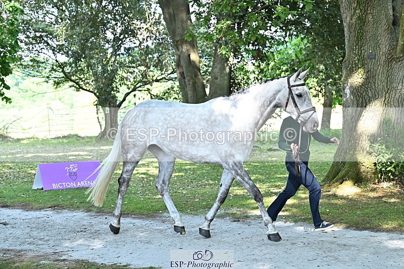 250521A-160442-00901 - C-253-Kirsty.Chabert-GLOBAL.EMPRESS