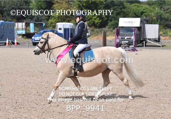 BPP_9941 - CLASS 3 Derby Show Jumping 40CM